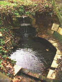The Nymph Pool.